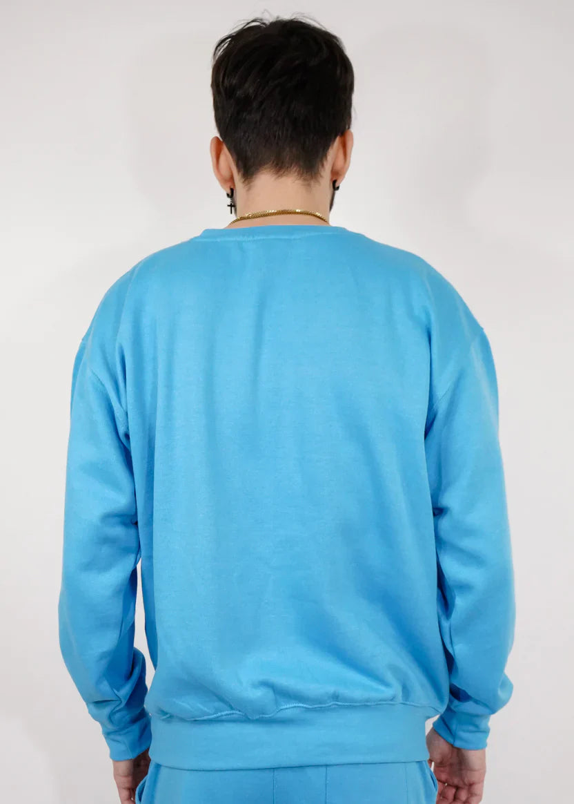 Heavy Blend Fleece Crew-Neck SweatShirt